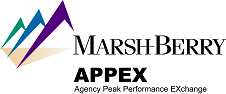 Appex Logo